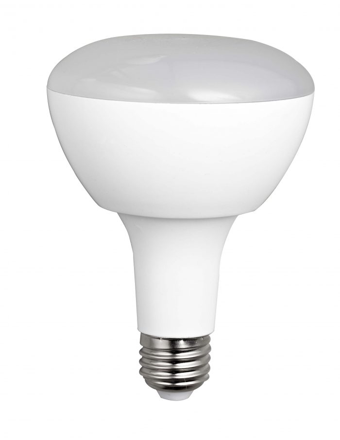 BR30 (1) white