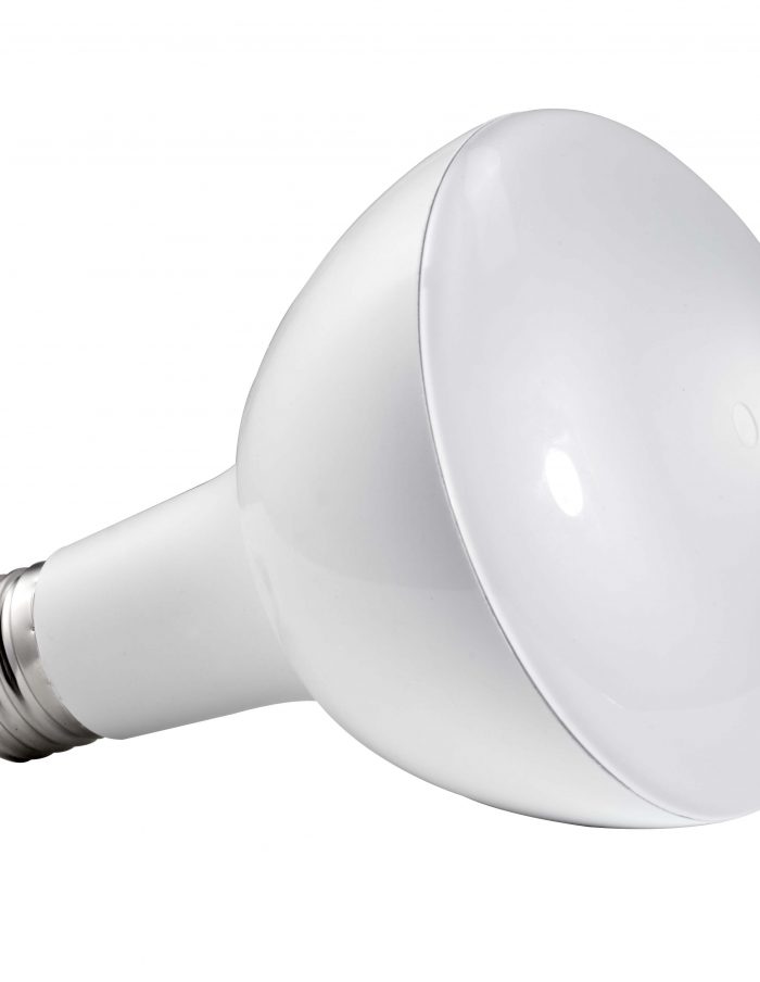 BR30 (2) white