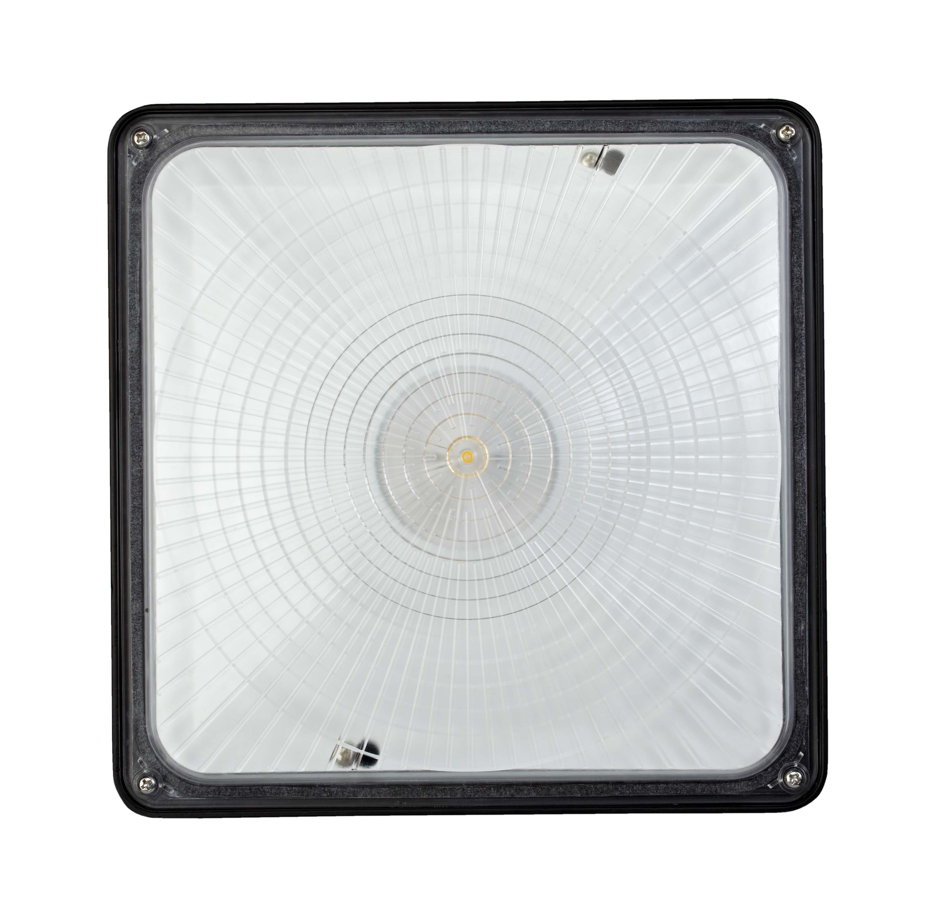 canopy front black eco story